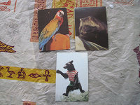 Отдается в дар карманные календарики, 1986-1989, с животными