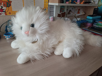 Отдается в дар Мягкая игрушка кошка