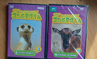 Отдается в дар Видео диски DVD Новые