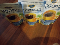 Отдается в дар Цикорий