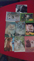 Отдается в дар Календарики кошки сборные