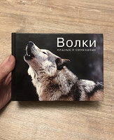Отдается в дар Волки. Хищные и свободные