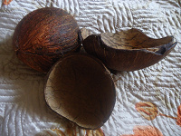 Отдается в дар Скорлупа кокоса