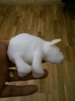 Отдается в дар маленький белый мишка ждет своего нового хозяина