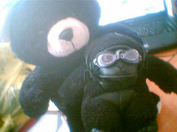 Отдается в дар Медведь и обезьяна черные
