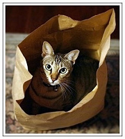 Отдается в дар кот в мешке (одежда 40-42 размер)