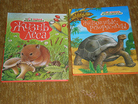 Отдается в дар Книги детям.