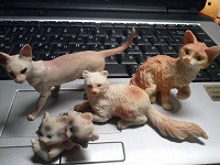 Отдается в дар Делюсь фигурками котяшек из своей коллекции в одни лапки