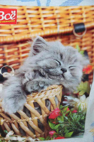 Отдается в дар Постер с кошкой