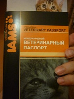 Отдается в дар Незабирашки — 3