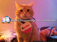 Киндер-кот в мешке )))