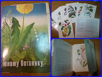 Отдается в дар Набот открыток «Юному ботанику» (привет из СССР)