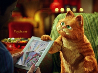 Отдается в дар Календарно-открыточный котик