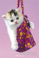 Отдается в дар удивительно намешанный детский одежный котик в мешке…