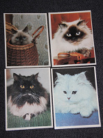 Отдается в дар Календарики с кошками 1995 года