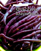 Отдается в дар семена фасоли спаржевой