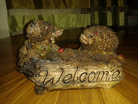 Отдается в дар Ёжики Welcome