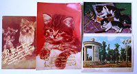 Отдается в дар советские открытки — животные