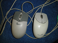Компьютерные мышки