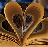 Отдается в дар Книжный котик