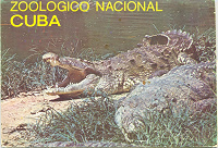 Отдается в дар Открытки Куба Зоопарк
