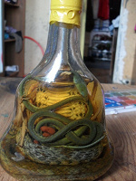 Отдается в дар Змеи в бутылке