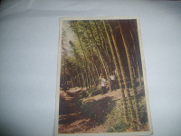 Отдается в дар Почтовая карточка 1956 г.