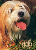 Отдается в дар Календарики 1991 г. Собаки