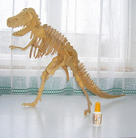 Отдается в дар Скелет динозавра
