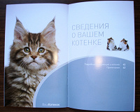 Отдается в дар Книжка «Ваш котенок»