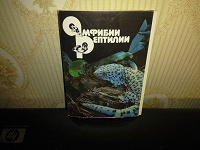Отдается в дар Набор открыток «Амфибии и рептилии»