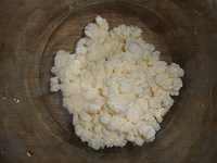 Отдается в дар Молочный (Тибетский) гриб