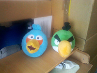 Отдается в дар Птицы angry birds