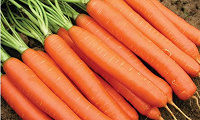 Отдается в дар Морковь тушёная