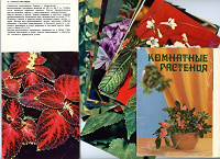 Отдается в дар Открытки СССР «Комнатные цветы» — набор