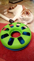Отдается в дар игрушка для котенка фирмы Трикси, передаривается.