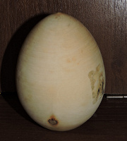 Отдается в дар Деревянное яйцо, почти страусиное:)