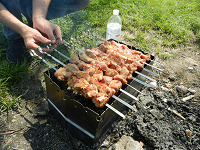 Для шашлыка