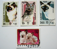 Отдается в дар марки с кошками