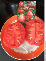 Отдается в дар Рассада томата