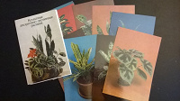 Отдается в дар Набор открыток «Комнатные декоративно-лиственные растения»