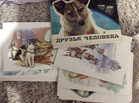 Отдается в дар Набор советских открыток с собачками