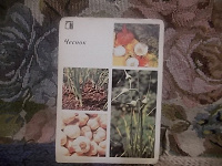 Отдается в дар открытки из набора «овощные культуры»?