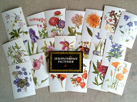 Отдается в дар Набор открыток Декоративные растения