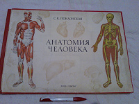 Отдается в дар Атлас анатомия человека