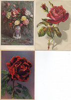 Отдается в дар открытки с розами