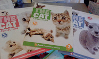 Отдается в дар Журналы про кошек.