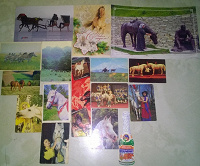 Отдается в дар Календарики и открытки повторки, с лошадками, закладка