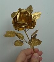 Отдается в дар «Золотая» роза