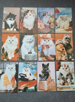 Отдается в дар Открытки Советские «Семейство кошачьих»